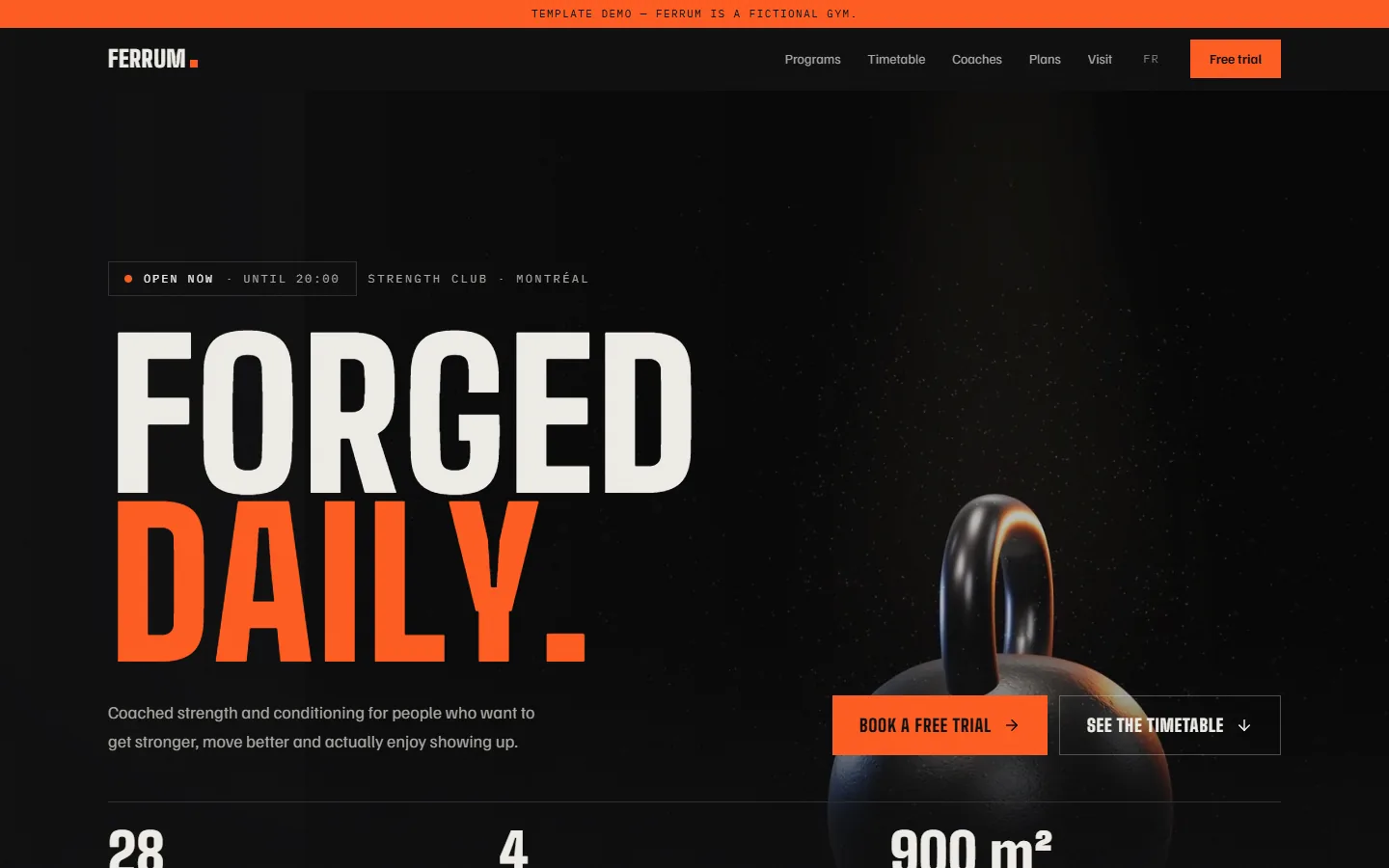 Ferrum project preview